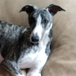 Meet your Posher, Bobbi